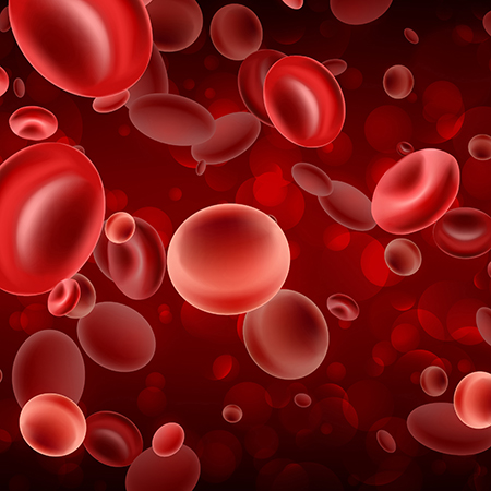 3d red streaming blood cells banner. Articolo12 HeaderMobile 1
