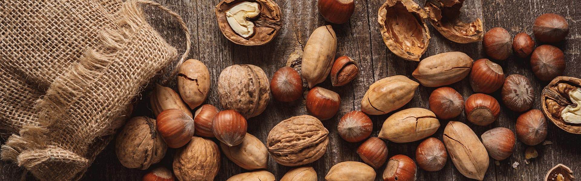 Articolo20_Header Articolo20 Header