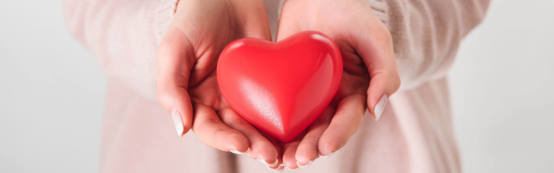 Articolo22_Header Articolo22 Header