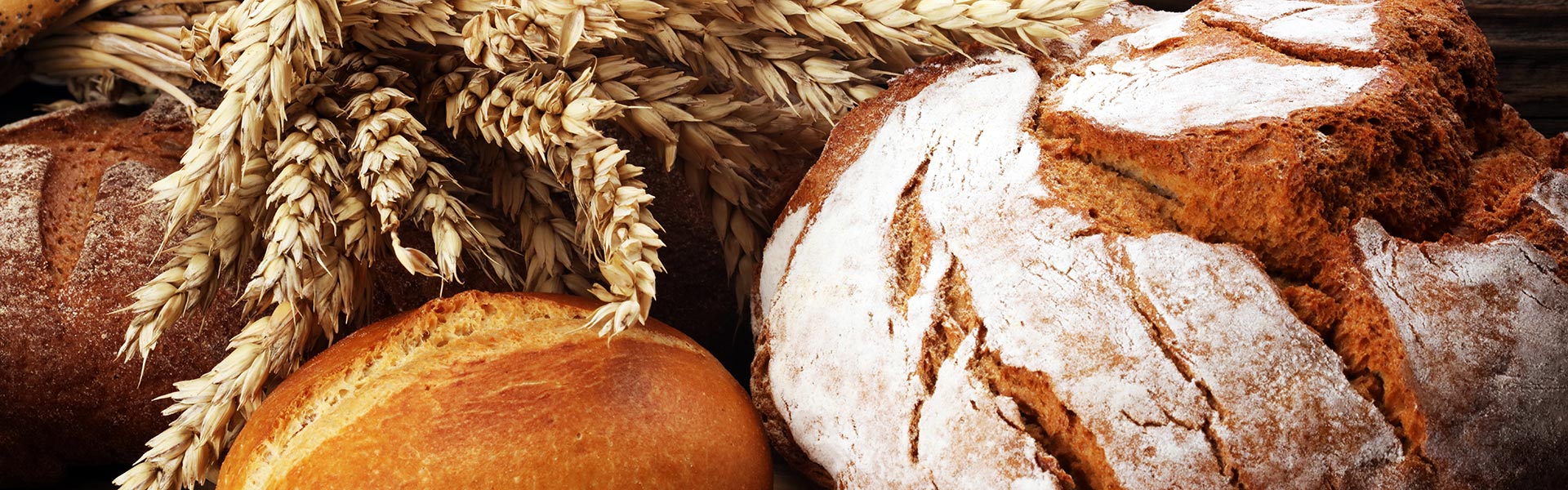 Articolo33_Header Articolo33 Header