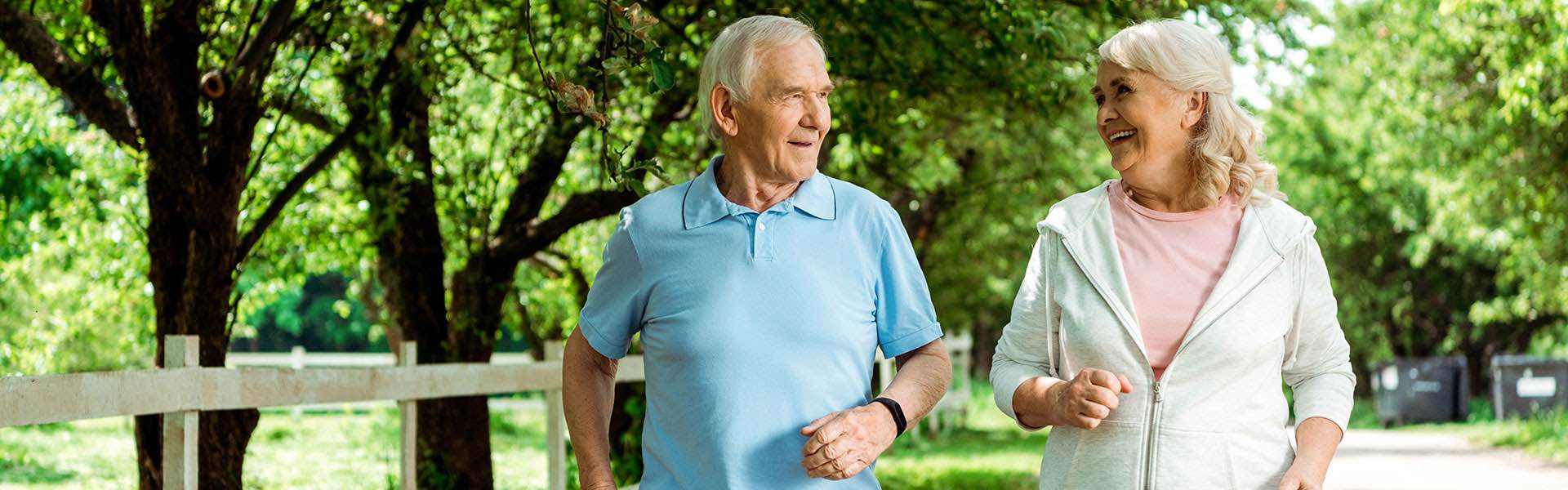 Articolo41_Header Articolo41 Header