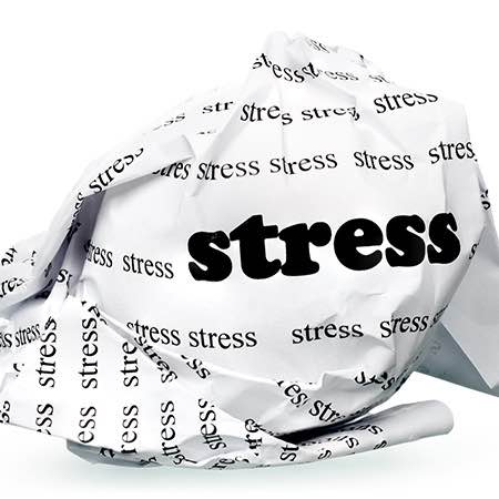 Articolo52 HeaderMobile