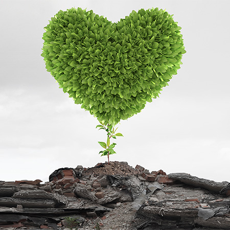 Articolo78 HeaderMobile